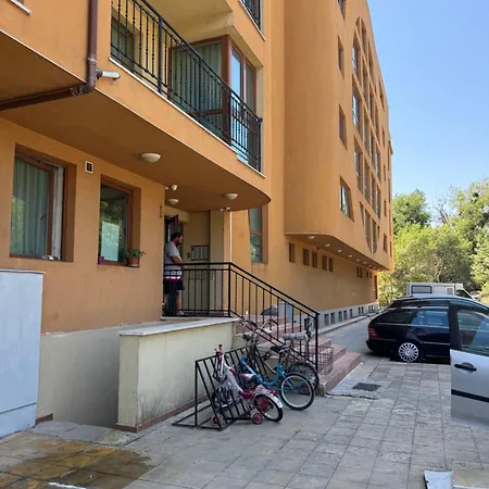 Amadeus1 - 37b Large * ساني بيتش