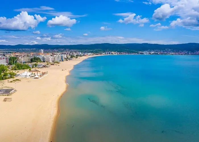 Amadeus1 - 37b Large *